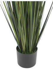Pot