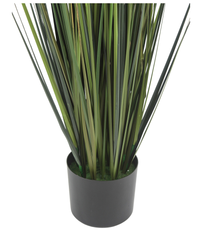 Pot