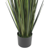 Pot