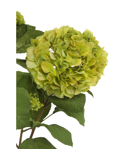 Arbuste hortensia verdi artificiel