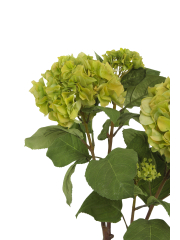 Arbuste hortensia verdi artificiel