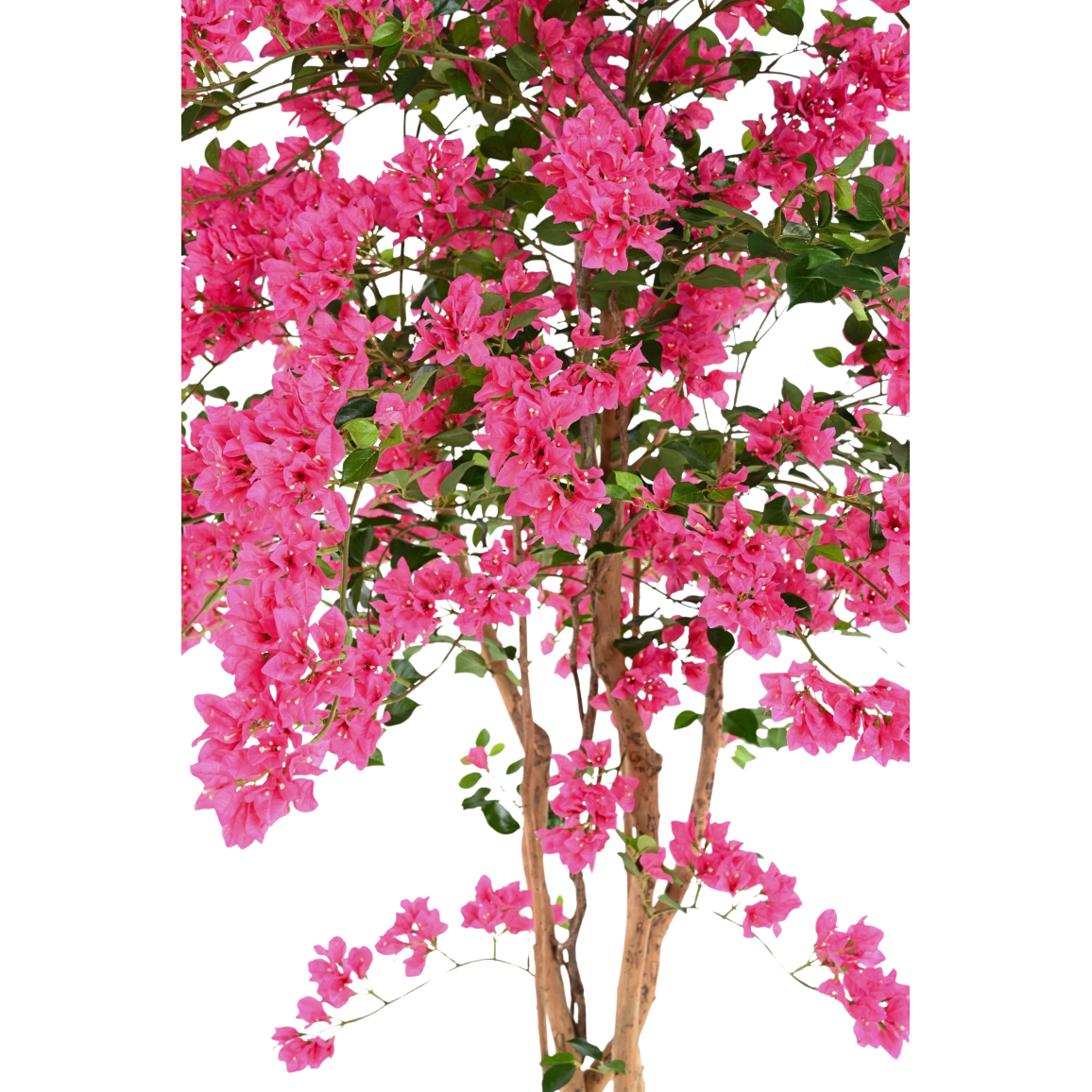 Plante Artificielle 150 cm, Bougainvillier artificiel avec fleurs, balcon, chambre, bureau - Maison Plante Artificielle 150 cm, Bougainvillier artificiel avec fleurs, balcon, chambre, bureau - Maison
