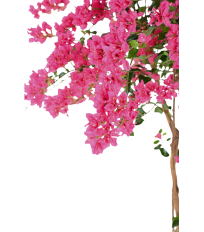 Grand bougainvillier artificiel fleuri