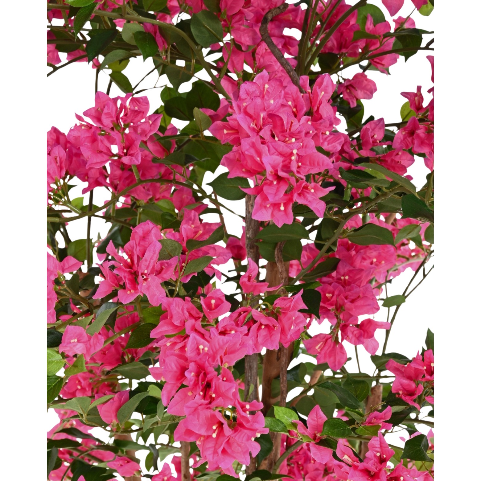 Arbre bougainvillier artificiel 3m haut de gamme pour décoration