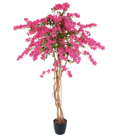 Grand bougainvillier artificiel fleuri