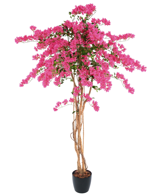 Grand bougainvillier artificiel fleuri