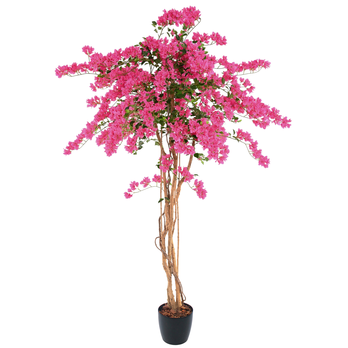 Grand bougainvillier artificiel fleuri Grand bougainvillier artificiel fleuri
