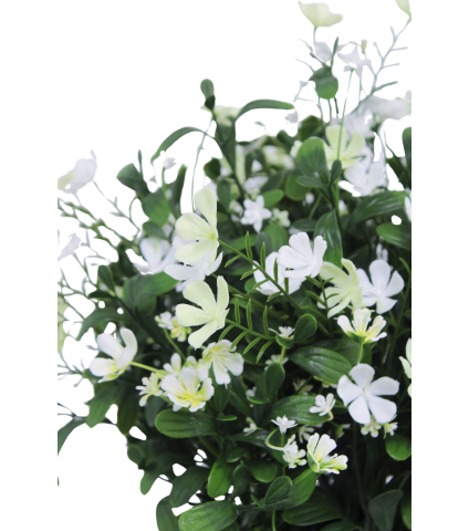 Saponaire artificielle blanche