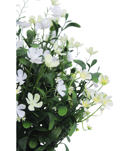 Saponaire artificielle blanche