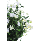 Saponaire artificielle blanche