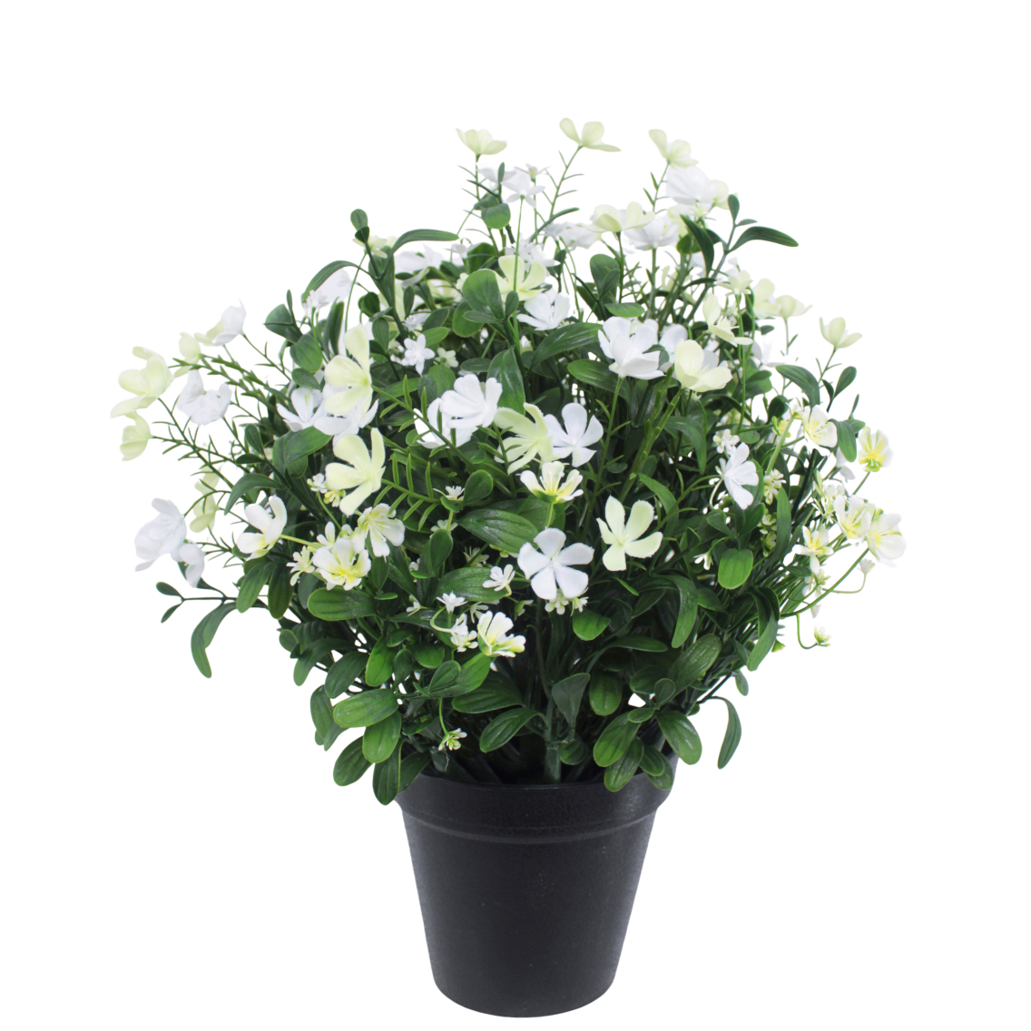 Saponaire artificielle blanche