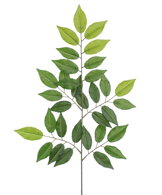Feuille de charme artificielle