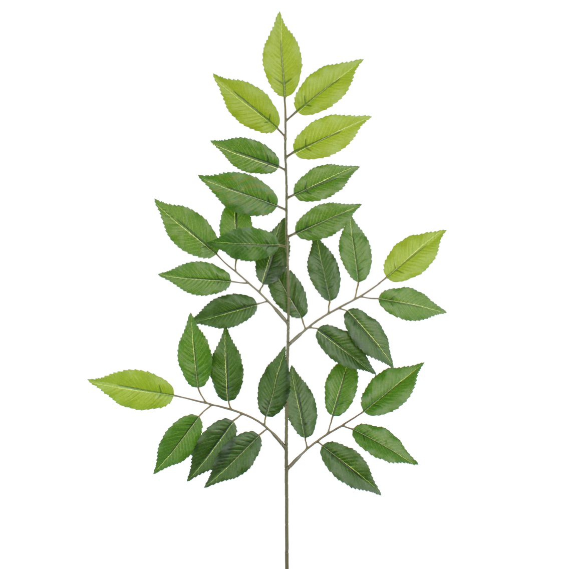 Feuille de charme artificielle