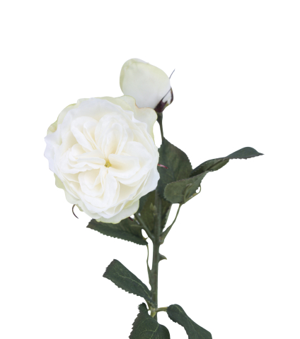 Rose Milady artificielle