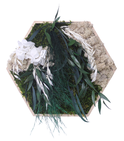 Grand tableau végétal stabilisé Giverny