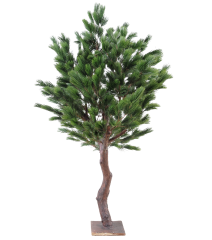Grand pin noir d'Autriche artificiel
