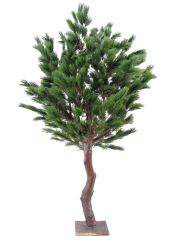 Grand pin noir d'Autriche artificiel