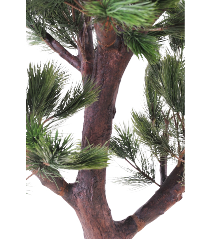 Grand pin noir d'Autriche artificiel