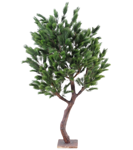 Grand pin noir d'Autriche artificiel