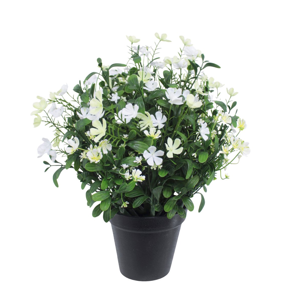 Saponaire artificielle blanche