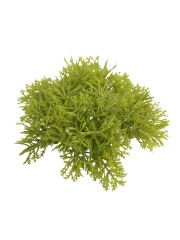 Petits galets de mousse des bois