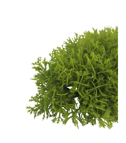 Petits galets de mousse artificiels