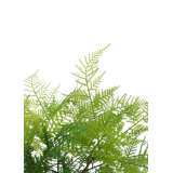 Branche de fougère plumeuse artificielle