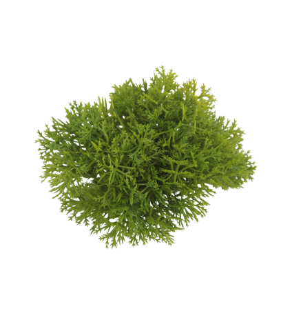 Petits galets de mousse artificiels