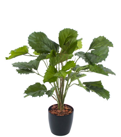 Vigne marronnier artificielle