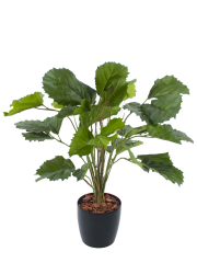 Vigne marronnier artificielle