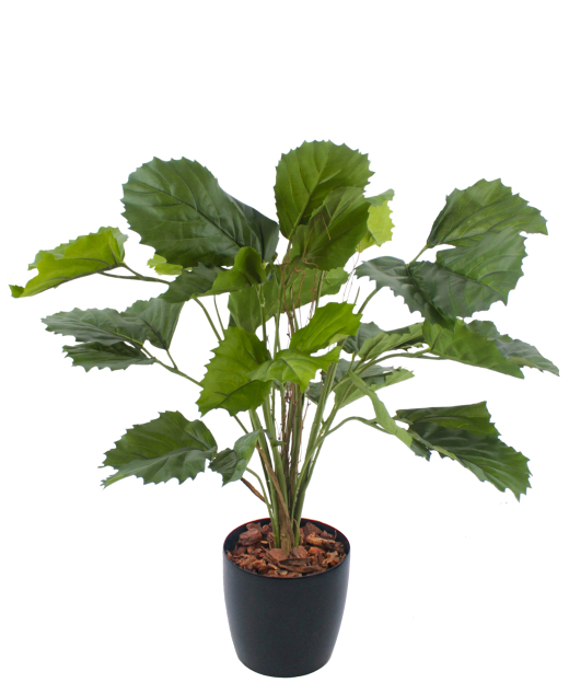 Vigne marronnier artificielle