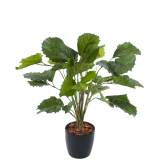 Vigne marronnier artificielle
