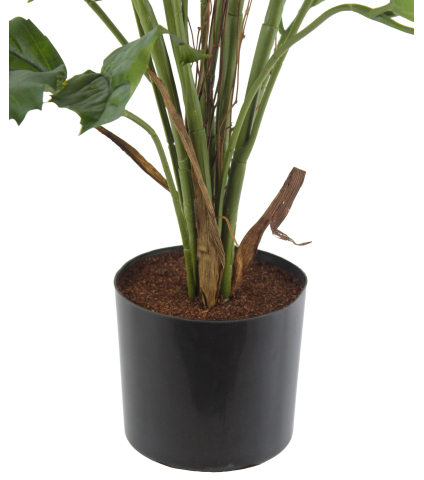 Vigne marronnier artificielle