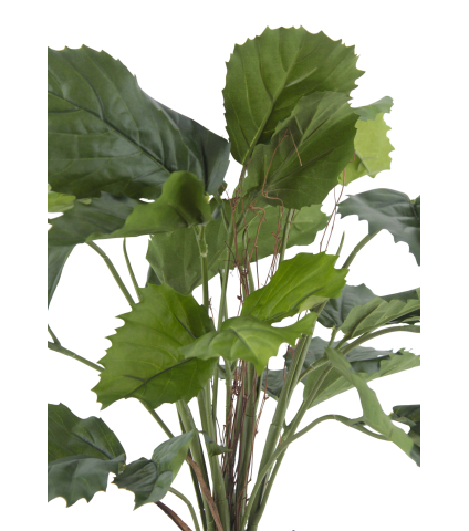 Vigne marronnier artificielle