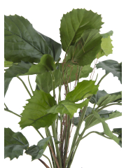 Vigne marronnier artificielle