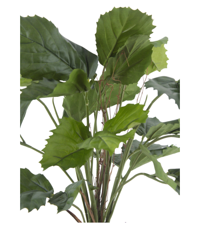 Vigne marronnier artificielle