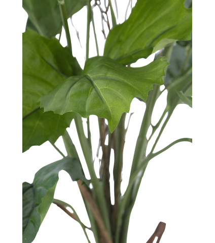 Vigne marronnier artificielle