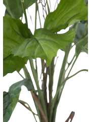 Vigne marronnier artificielle