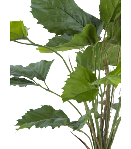 Vigne marronnier artificielle