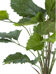 Vigne marronnier artificielle