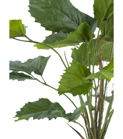 Vigne marronnier artificielle