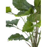 Vigne marronnier artificielle