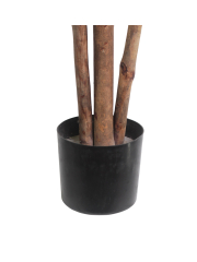 Pot