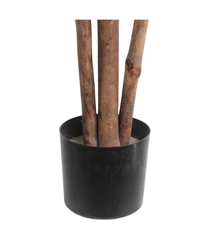 Pot