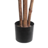 Pot