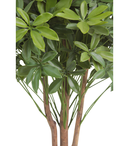 Schefflera ombelle artificiel
