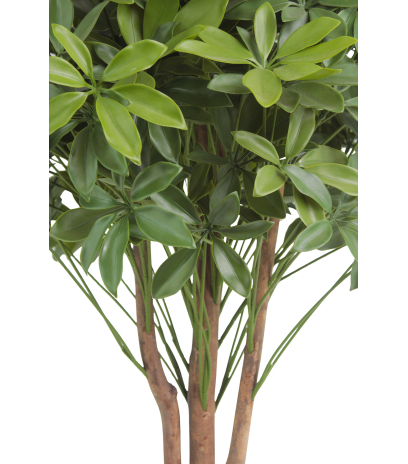 Schefflera ombelle artificiel