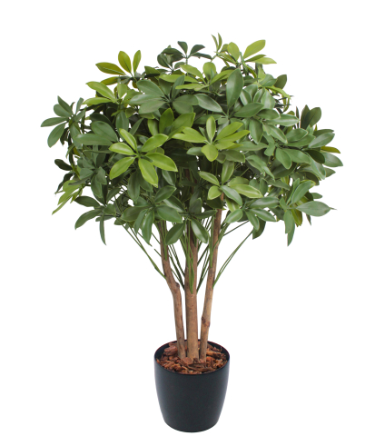 Schefflera ombelle artificiel