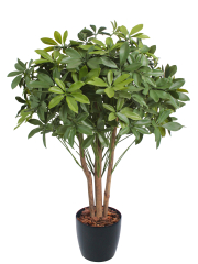 Schefflera ombelle artificiel