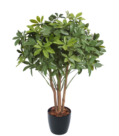 Schefflera ombelle artificiel